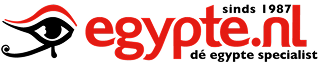 logo icon